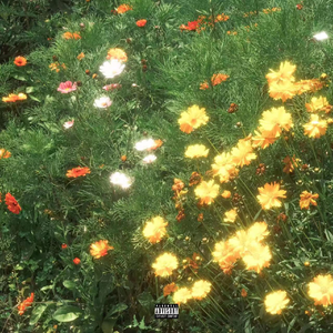 大荫蒂性生交片
